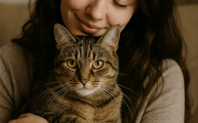 Comment renforcer le lien de confiance avec son chat au quotidien 